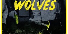 BIG BAD WOLVES ficha