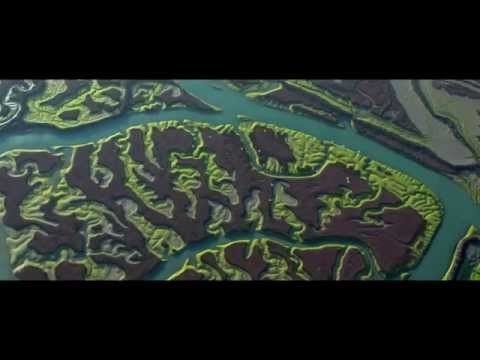 LA ISLA MÍNIMA tráiler