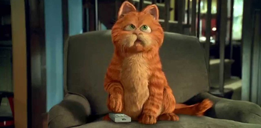 GARFIELD