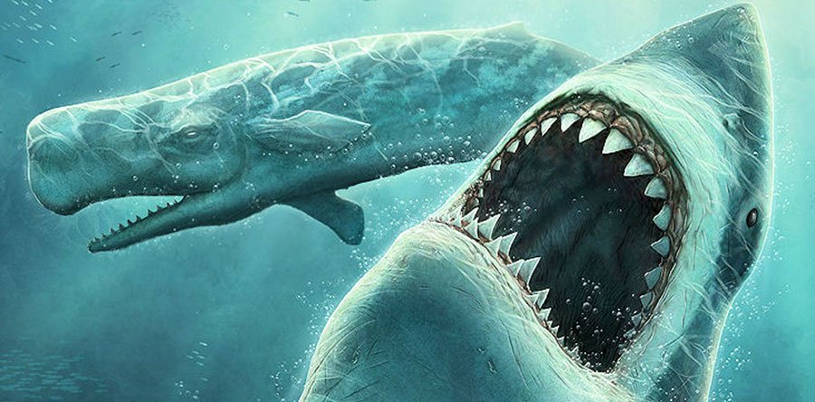 MEG noticia: Más nombres para el tiburón