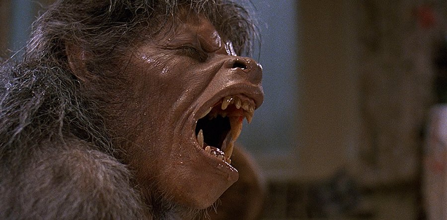 UN HOMBRE LOBO AMERICANO EN LONDRES noticia: ¿Remake de Max Landis?