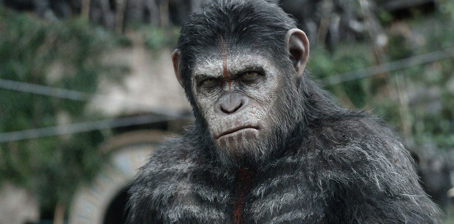 LA GUERRA DEL PLANETA DE LOS SIMIOS  noticia: Sinopsis simiesca