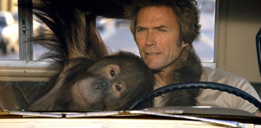 DURO DE PELAR noticia: Remake al canto. Sí, remake