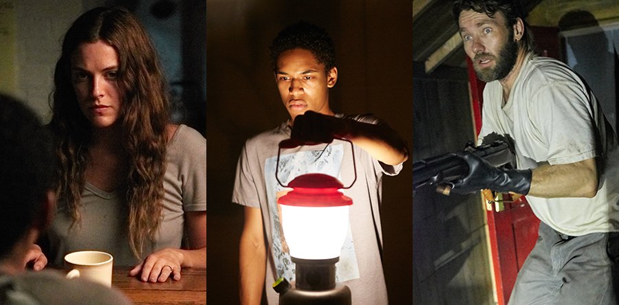 LLEGA DE NOCHE fotos