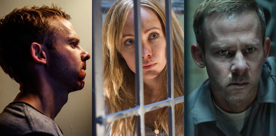 ANIMAL DE COMPAÑÍA fotos