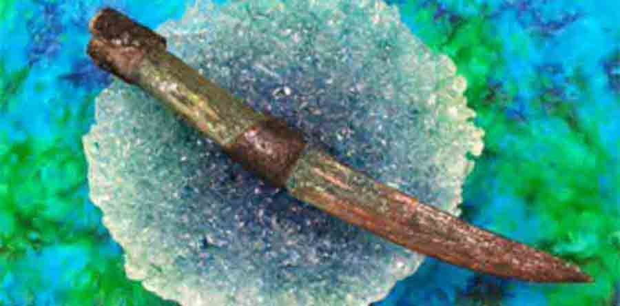 AVATAR 2 avance: Regreso a Pandora’s End