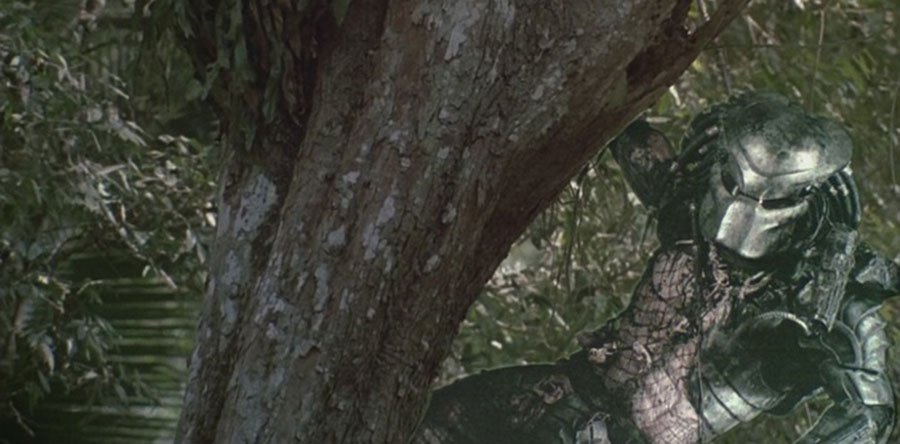 THE PREDATOR avance: ¿Dónde está Preddy?