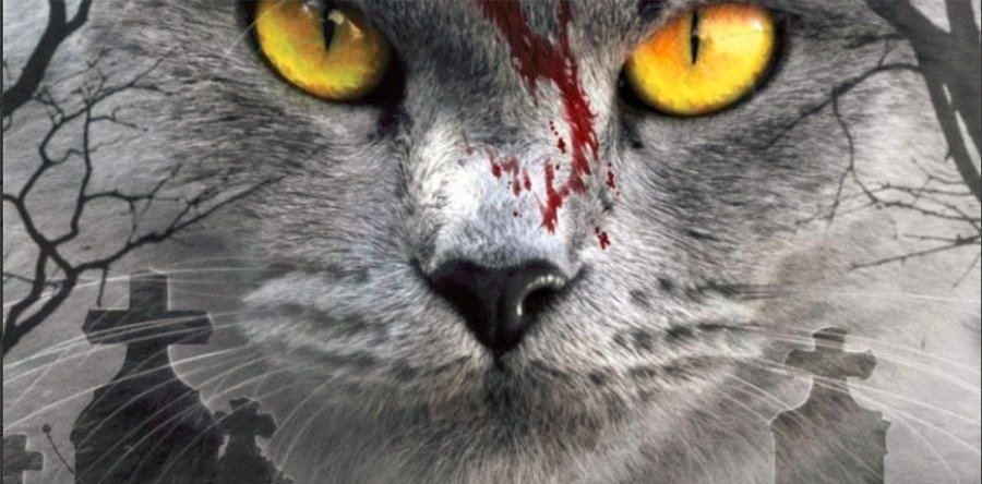 CEMENTERIO DE ANIMALES avance: Inicio de rodaje