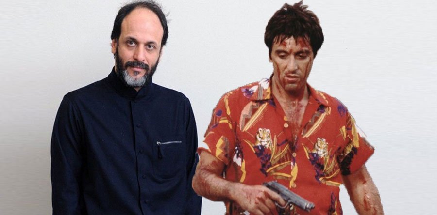 SCARFACE noticia: Luca Guadagnino habla de ella
