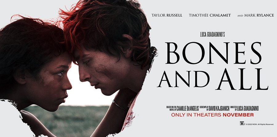 HASTA LOS HUESOS. BONES AND ALL crítica: Dos jóvenes cogen el coche y se van a picar