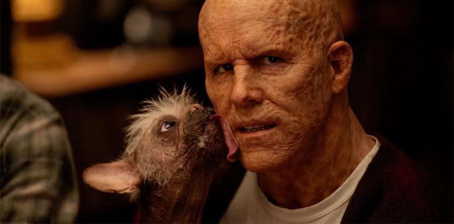 DEADPOOL 3 avance: Fotos de Dogpool