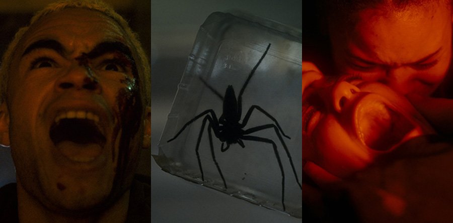 VERMIN: LA PLAGA fotos