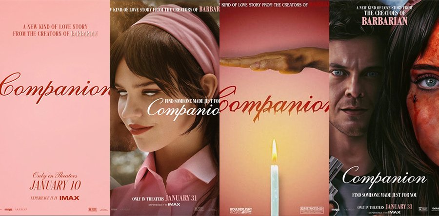 LA ACOMPAÑANTE posters