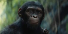 EL PLANETA DE LOS SIMIOS noticia: Película sí, secuela no