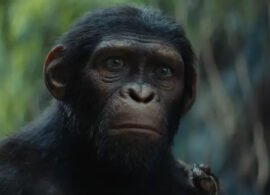 EL PLANETA DE LOS SIMIOS noticia: Película sí, secuela no