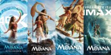 VAIANA posters