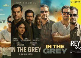 EN LA ZONA GRIS posters