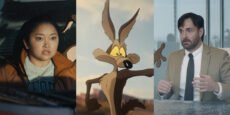 COYOTE VS. ACME fotos