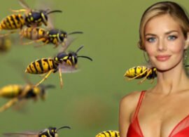 HIVEMIND noticia: Samara Weaving contra avispas mutantes
